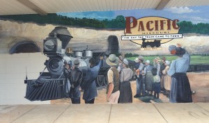 27770908072_2598d7f442_o