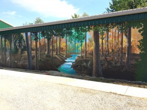 28047232646_a35d086ce6_o